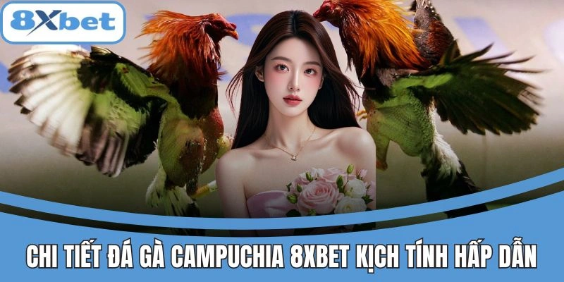 Đá Gà Campuchia 8xbet - Khám Phá Kèo Thơm Lợi Nhuận Cao 2 Chi tiết đá gà Campuchia 8xbet kịch tính hấp dẫn