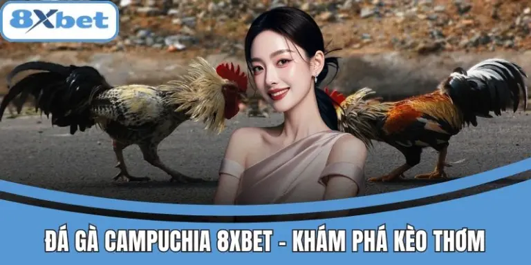 Đá Gà Campuchia 8xbet - Khám Phá Kèo Thơm Lợi Nhuận Cao