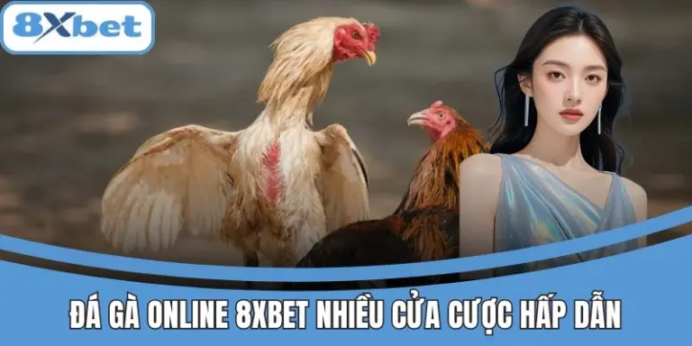 Đá gà online 8xbet với nhiều cửa cược và tỷ lệ ăn cao