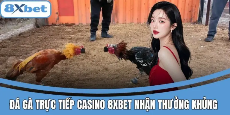 Đá gà trực tiếp Casino 8xbet mãn nhãn, nhận thưởng khủng