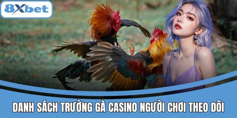 Danh sách trường gà casino được người chơi theo dõi