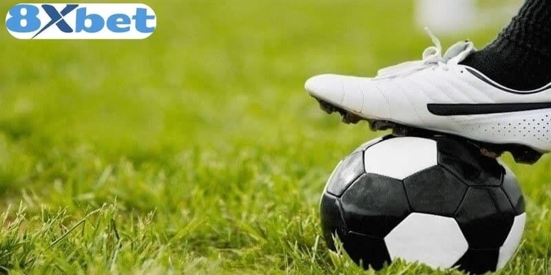 Tỷ Lệ Cược Bóng Đá 8xbet Cực Chuẩn Cho Mọi Kèo Đấu 3 Kèo Châu Âu hấp dẫn tại 8xbet