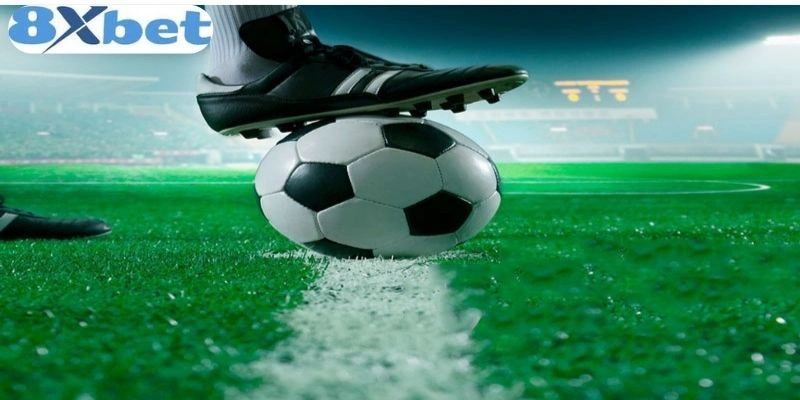 Có thể bạn chưa biết kinh nghiệm chơi kèo rung 8xbet