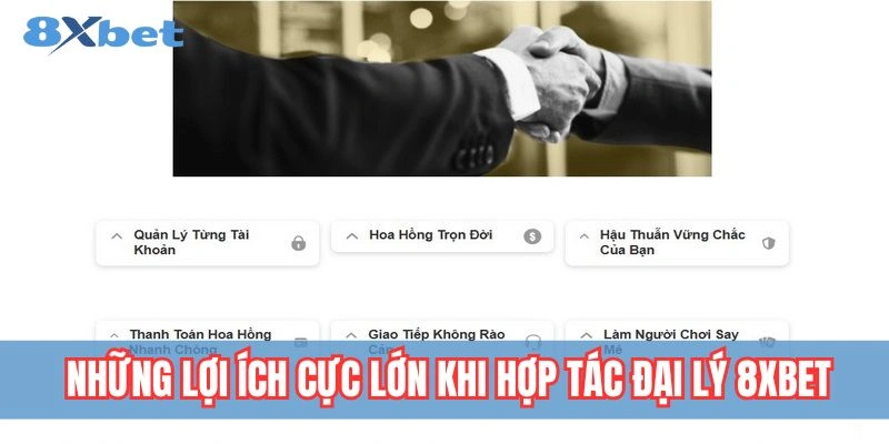 Hợp tác đại lý 8xbet mang đến nhiều quyền lợi hấp dẫn cho cộng tác viên