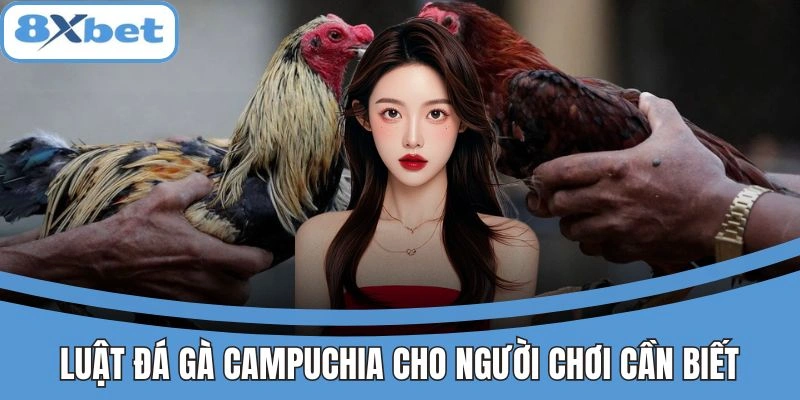 Đá Gà Campuchia 8xbet - Khám Phá Kèo Thơm Lợi Nhuận Cao 3 Luật đá gà Campuchia cho người chơi cần biết